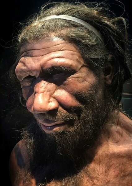 Homosapien photo