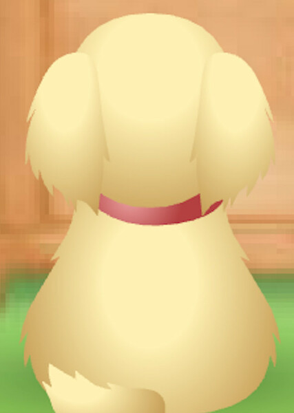 Honey (American Girl) photo