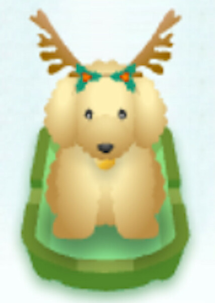 Honey (American Girl) photo