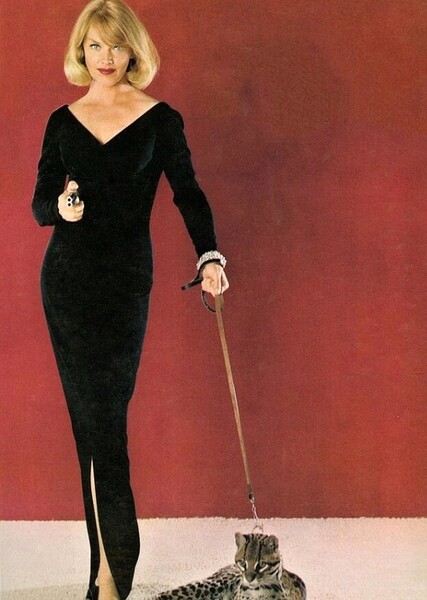 Honey West photo