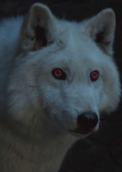 Hope Mikaelson photo