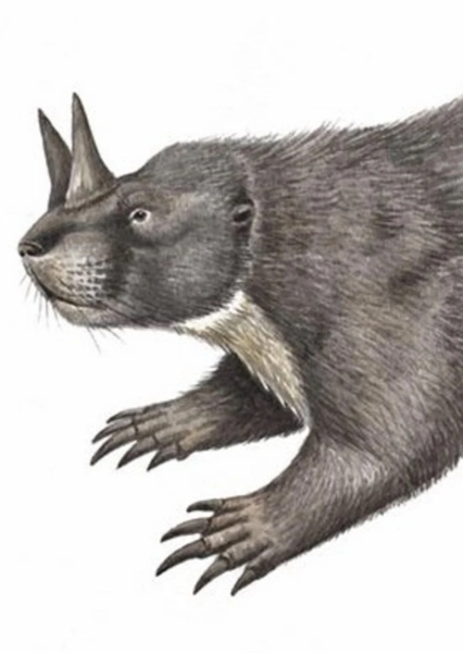 Horned Gopher photo