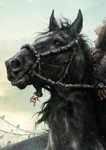 Horse photo