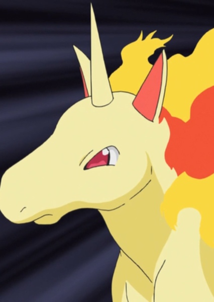 Horse sound effects photo