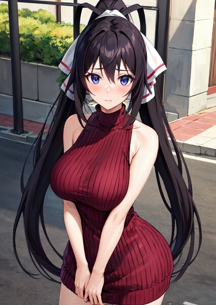 Houki Shinonono photo