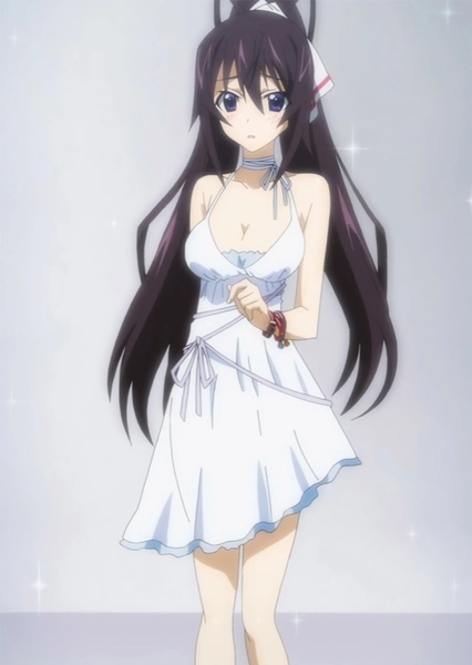 Houki Shinonono photo