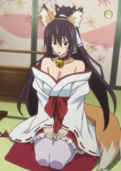 Houki Shinonono photo