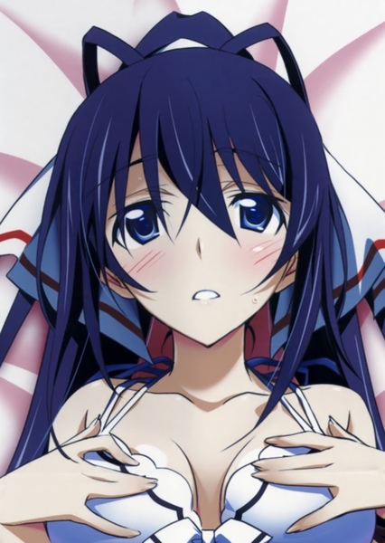 Houki Shinonono photo