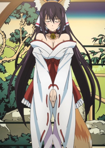 Houki Shinonono photo