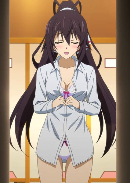 Houki Shinonono photo