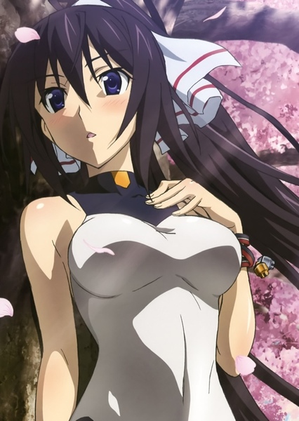 Houki Shinonono photo