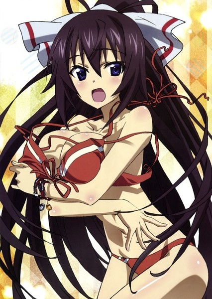 Houki Shinonono photo