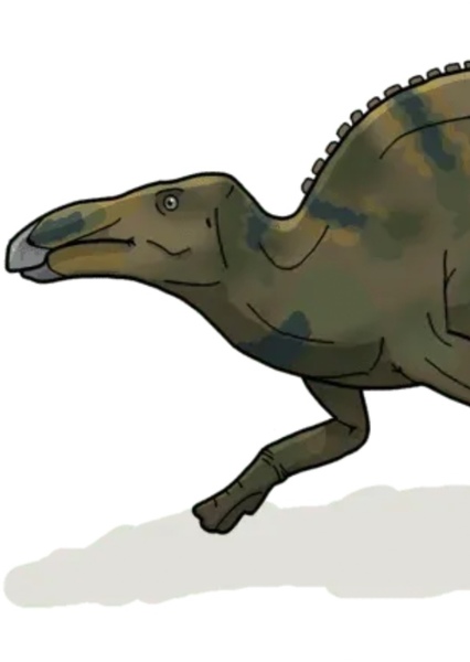 Huaxiaosaurus