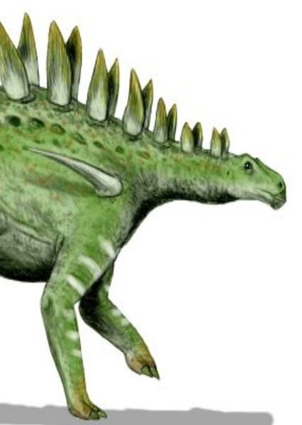 Huayangosaurus photo