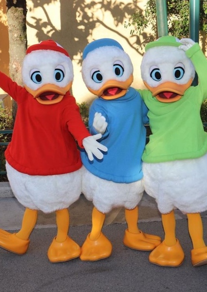 Huey, Dewey, and Louie photo
