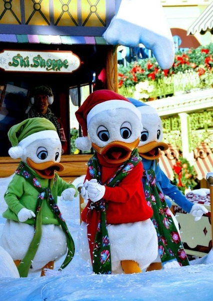 Huey, Dewey, and Louie photo