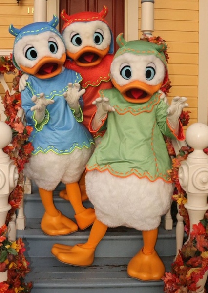 Huey, Dewey, and Louie photo