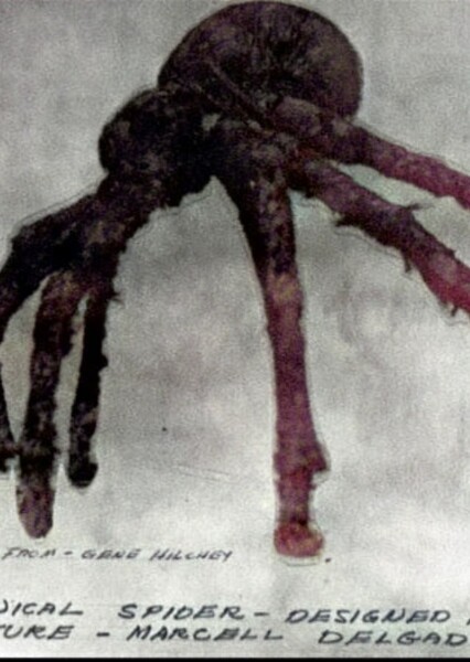 Huge Spider (King Kong)