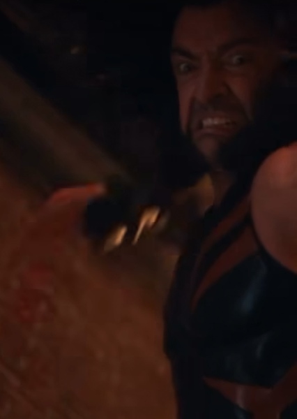 Hugh Jackman photo