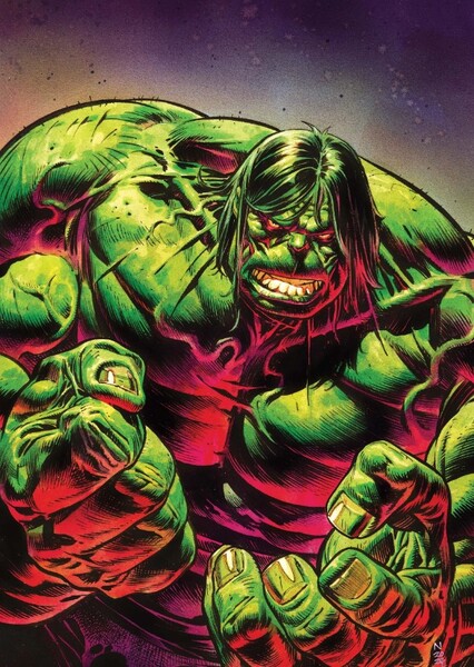Hulk photo