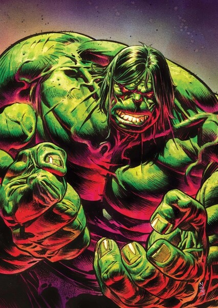 Hulk photo
