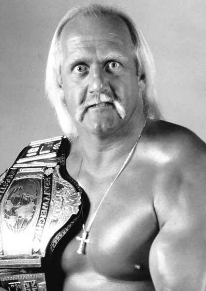 Hulk Hogan photo