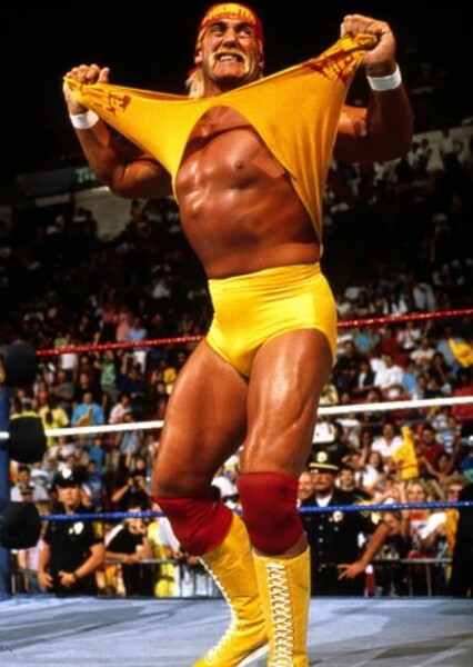 Hulk Hogan photo