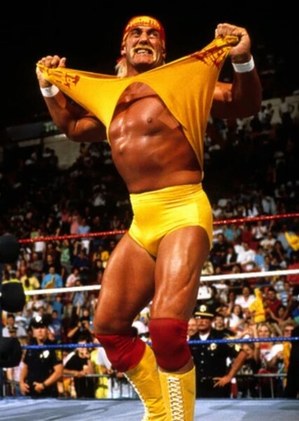 Hulk Hogan photo