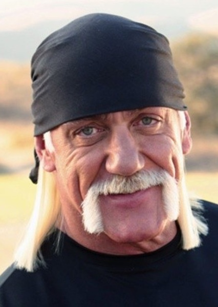 Hulk Hogan photo