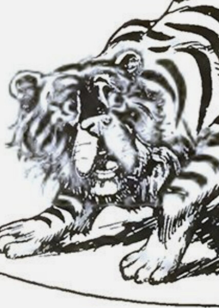 Hungry Tiger photo
