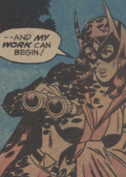 Huntress (Helena Wayne) photo