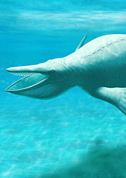 Hupehsuchus