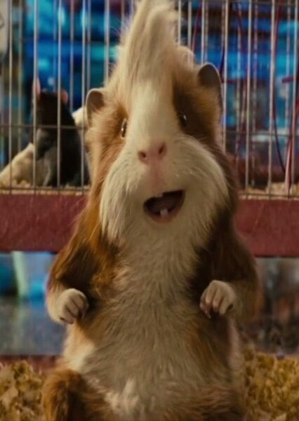 Hurley (G-Force)