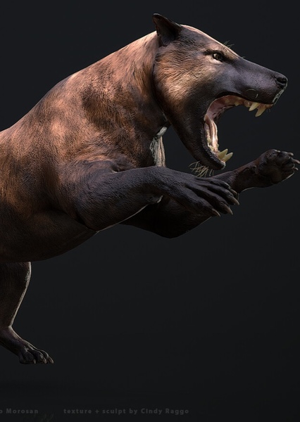 Hyaenodon photo