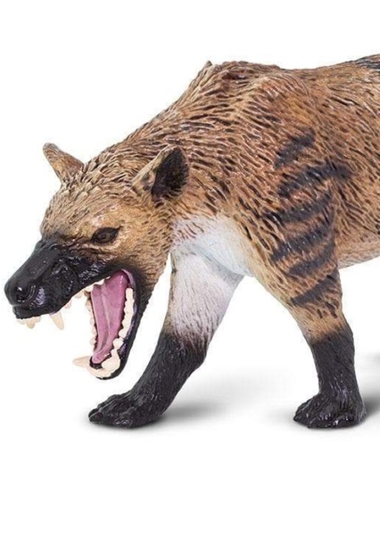 Hyaenodon photo