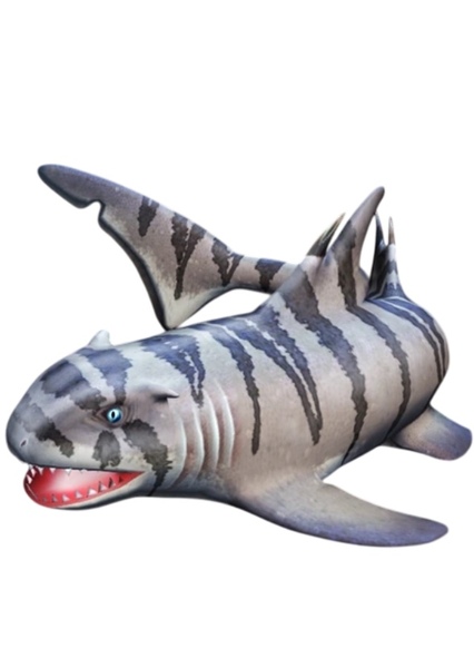 Hybodus photo