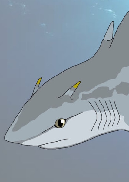 Hybodus photo