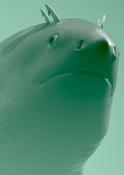 Hybodus photo