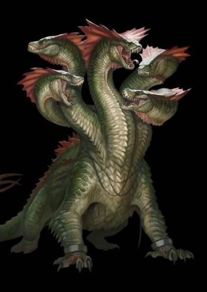 Hydra