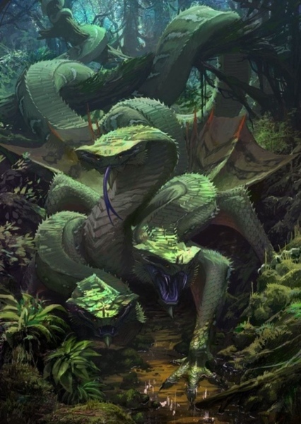 Hydra photo