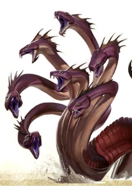 Hydra photo