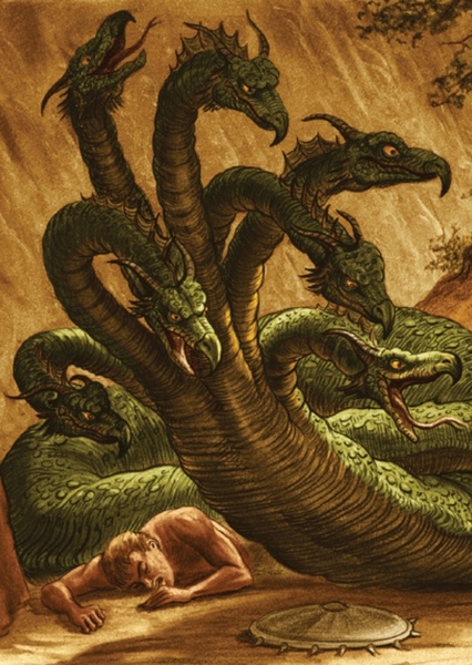 Hydra photo