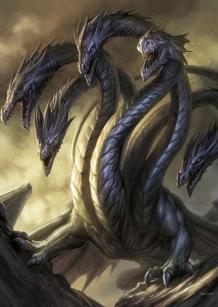 Hydra photo