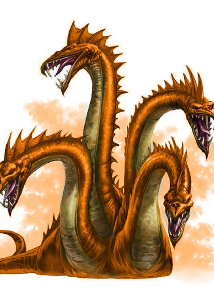 Hydra photo