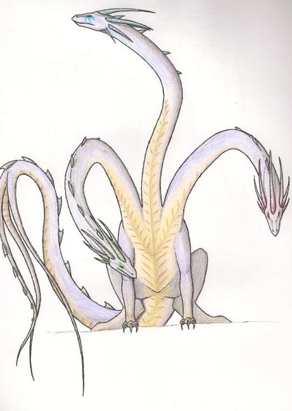 Hydra photo