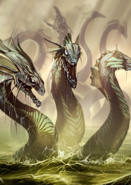 Hydra photo