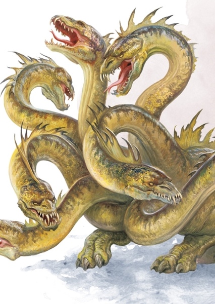 Hydra photo
