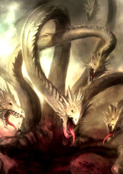 Hydra photo
