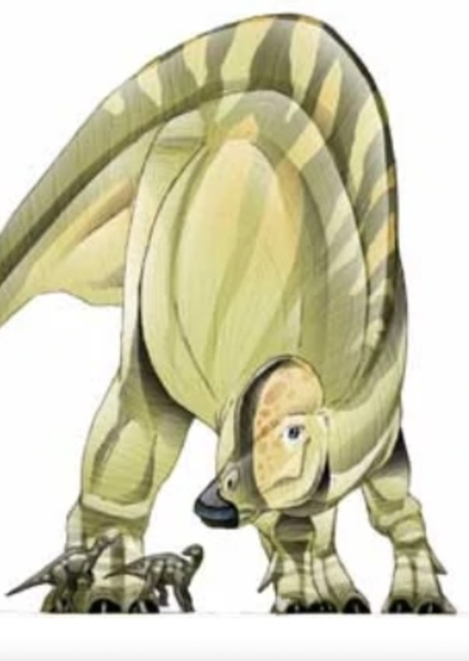Hypacrosaurus photo