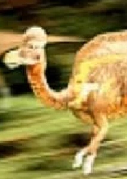 Hypacrosaurus (Jurassic Park III: Park Builder)